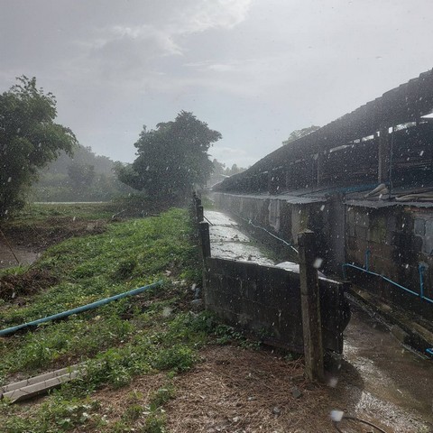 ประกาศฟรี! ซื้อ-ขาย-เช่า คอนโด บ้าน ทาวน์โฮม ที่ดิน และพื้นที่เชิงพาณิชย์ทั่วประเทศไทย ทุกทำเล ทุกงบประมาณ ไม่มีค่าใช้จ่าย ลงง่าย ขายไว เข้าถึงผู้ซื้อโดยตรง 5 236716pic4.jpg