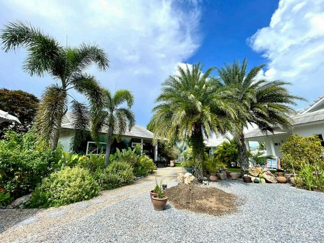 ประกาศฟรี! ซื้อ-ขาย-เช่า คอนโด บ้าน ทาวน์โฮม ที่ดิน และพื้นที่เชิงพาณิชย์ทั่วประเทศไทย ทุกทำเล ทุกงบประมาณ ไม่มีค่าใช้จ่าย ลงง่าย ขายไว เข้าถึงผู้ซื้อโดยตรง 4 236785pic3.jpg