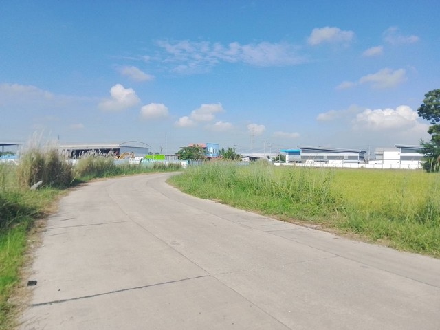 ประกาศฟรี! ซื้อ-ขาย-เช่า คอนโด บ้าน ทาวน์โฮม ที่ดิน และพื้นที่เชิงพาณิชย์ทั่วประเทศไทย ทุกทำเล ทุกงบประมาณ ไม่มีค่าใช้จ่าย ลงง่าย ขายไว เข้าถึงผู้ซื้อโดยตรง 3 308671pic2.jpg