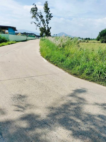 ประกาศฟรี! ซื้อ-ขาย-เช่า คอนโด บ้าน ทาวน์โฮม ที่ดิน และพื้นที่เชิงพาณิชย์ทั่วประเทศไทย ทุกทำเล ทุกงบประมาณ ไม่มีค่าใช้จ่าย ลงง่าย ขายไว เข้าถึงผู้ซื้อโดยตรง 5 308671pic4.jpg