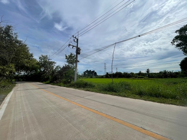 ประกาศฟรี! ซื้อ-ขาย-เช่า คอนโด บ้าน ทาวน์โฮม ที่ดิน และพื้นที่เชิงพาณิชย์ทั่วประเทศไทย ทุกทำเล ทุกงบประมาณ ไม่มีค่าใช้จ่าย ลงง่าย ขายไว เข้าถึงผู้ซื้อโดยตรง 2 308733pic1.jpg