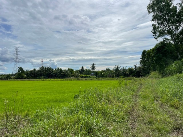 ประกาศฟรี! ซื้อ-ขาย-เช่า คอนโด บ้าน ทาวน์โฮม ที่ดิน และพื้นที่เชิงพาณิชย์ทั่วประเทศไทย ทุกทำเล ทุกงบประมาณ ไม่มีค่าใช้จ่าย ลงง่าย ขายไว เข้าถึงผู้ซื้อโดยตรง 3 308733pic2.jpg