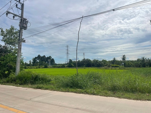 ประกาศฟรี! ซื้อ-ขาย-เช่า คอนโด บ้าน ทาวน์โฮม ที่ดิน และพื้นที่เชิงพาณิชย์ทั่วประเทศไทย ทุกทำเล ทุกงบประมาณ ไม่มีค่าใช้จ่าย ลงง่าย ขายไว เข้าถึงผู้ซื้อโดยตรง 5 308733pic4.jpg