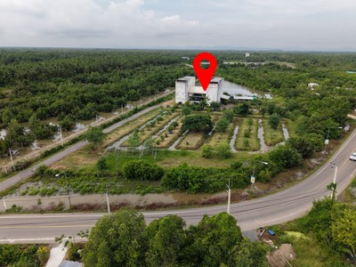 ประกาศฟรี! ซื้อ-ขาย-เช่า คอนโด บ้าน ทาวน์โฮม ที่ดิน และพื้นที่เชิงพาณิชย์ทั่วประเทศไทย ทุกทำเล ทุกงบประมาณ ไม่มีค่าใช้จ่าย ลงง่าย ขายไว เข้าถึงผู้ซื้อโดยตรง 5 505738pic4.jpg