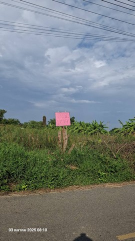 ประกาศฟรี! ซื้อ-ขาย-เช่า คอนโด บ้าน ทาวน์โฮม ที่ดิน และพื้นที่เชิงพาณิชย์ทั่วประเทศไทย ทุกทำเล ทุกงบประมาณ ไม่มีค่าใช้จ่าย ลงง่าย ขายไว เข้าถึงผู้ซื้อโดยตรง 3 229976pic2.jpg