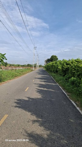 ประกาศฟรี! ซื้อ-ขาย-เช่า คอนโด บ้าน ทาวน์โฮม ที่ดิน และพื้นที่เชิงพาณิชย์ทั่วประเทศไทย ทุกทำเล ทุกงบประมาณ ไม่มีค่าใช้จ่าย ลงง่าย ขายไว เข้าถึงผู้ซื้อโดยตรง 2 229976pic1.jpg