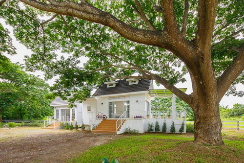 ประกาศฟรี! ซื้อ-ขาย-เช่า คอนโด บ้าน ทาวน์โฮม ที่ดิน และพื้นที่เชิงพาณิชย์ทั่วประเทศไทย ทุกทำเล ทุกงบประมาณ ไม่มีค่าใช้จ่าย ลงง่าย ขายไว เข้าถึงผู้ซื้อโดยตรง 3 499533pic2.jpg