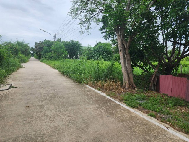 ประกาศฟรี! ซื้อ-ขาย-เช่า คอนโด บ้าน ทาวน์โฮม ที่ดิน และพื้นที่เชิงพาณิชย์ทั่วประเทศไทย ทุกทำเล ทุกงบประมาณ ไม่มีค่าใช้จ่าย ลงง่าย ขายไว เข้าถึงผู้ซื้อโดยตรง 4 16235pic3.jpg