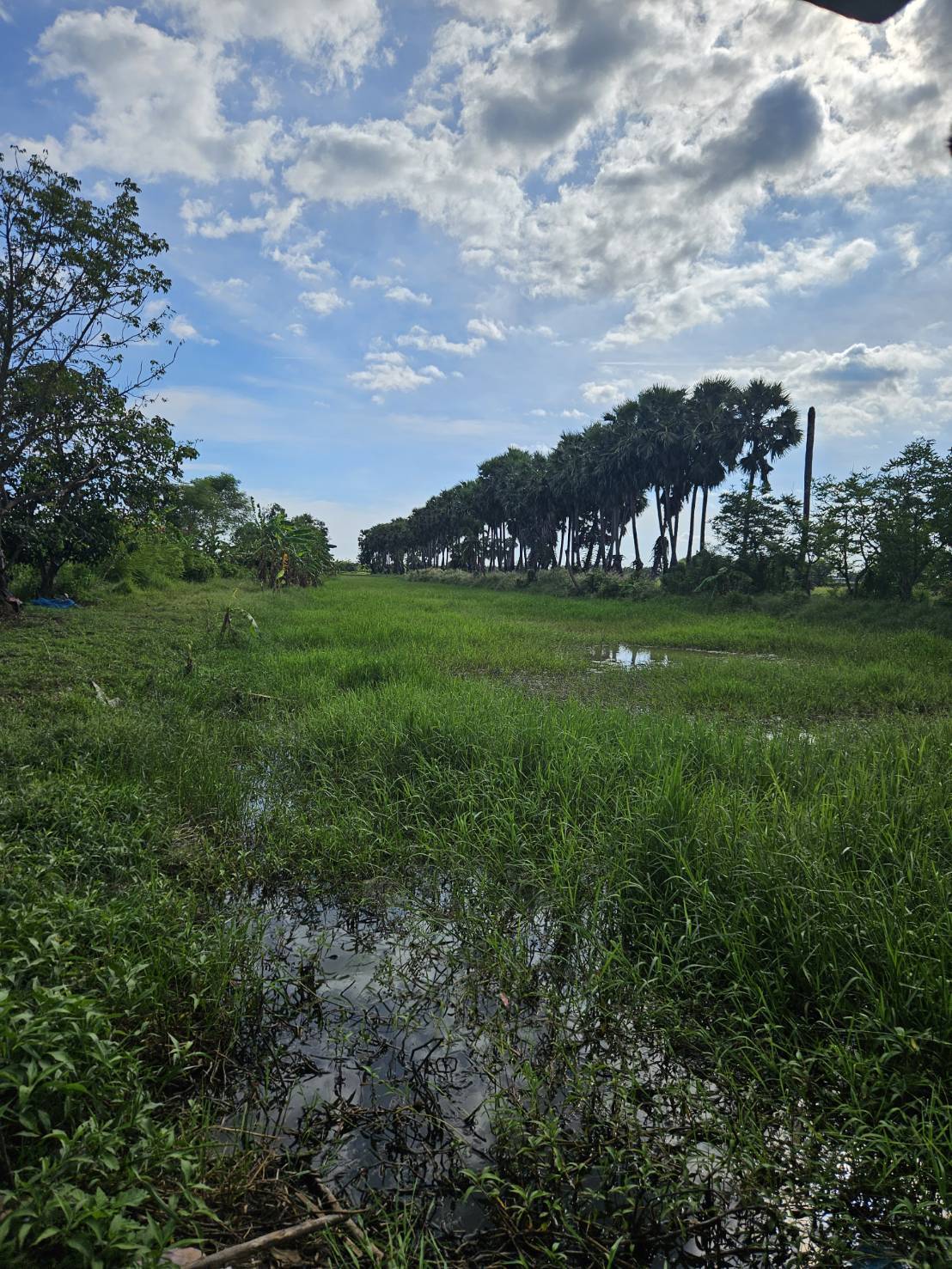 ประกาศฟรี! ซื้อ-ขาย-เช่า คอนโด บ้าน ทาวน์โฮม ที่ดิน และพื้นที่เชิงพาณิชย์ทั่วประเทศไทย ทุกทำเล ทุกงบประมาณ ไม่มีค่าใช้จ่าย ลงง่าย ขายไว เข้าถึงผู้ซื้อโดยตรง 3 308835pic2.jpg