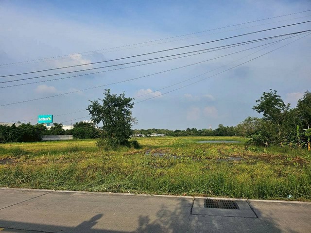 ประกาศฟรี! ซื้อ-ขาย-เช่า คอนโด บ้าน ทาวน์โฮม ที่ดิน และพื้นที่เชิงพาณิชย์ทั่วประเทศไทย ทุกทำเล ทุกงบประมาณ ไม่มีค่าใช้จ่าย ลงง่าย ขายไว เข้าถึงผู้ซื้อโดยตรง 3 309066pic2.jpg