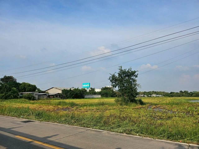 ประกาศฟรี! ซื้อ-ขาย-เช่า คอนโด บ้าน ทาวน์โฮม ที่ดิน และพื้นที่เชิงพาณิชย์ทั่วประเทศไทย ทุกทำเล ทุกงบประมาณ ไม่มีค่าใช้จ่าย ลงง่าย ขายไว เข้าถึงผู้ซื้อโดยตรง 5 309066pic4.jpg