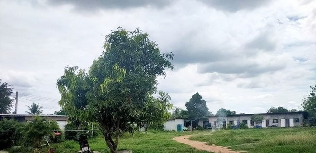 ประกาศฟรี! ซื้อ-ขาย-เช่า คอนโด บ้าน ทาวน์โฮม ที่ดิน และพื้นที่เชิงพาณิชย์ทั่วประเทศไทย ทุกทำเล ทุกงบประมาณ ไม่มีค่าใช้จ่าย ลงง่าย ขายไว เข้าถึงผู้ซื้อโดยตรง 4 309042pic3.jpg