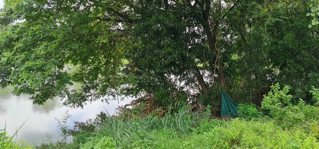 ประกาศฟรี! ซื้อ-ขาย-เช่า คอนโด บ้าน ทาวน์โฮม ที่ดิน และพื้นที่เชิงพาณิชย์ทั่วประเทศไทย ทุกทำเล ทุกงบประมาณ ไม่มีค่าใช้จ่าย ลงง่าย ขายไว เข้าถึงผู้ซื้อโดยตรง 3 292273pic2.jpg