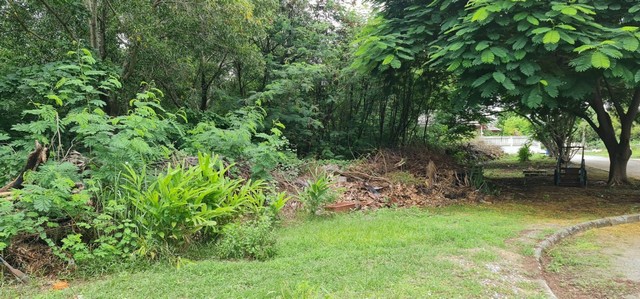 ประกาศฟรี! ซื้อ-ขาย-เช่า คอนโด บ้าน ทาวน์โฮม ที่ดิน และพื้นที่เชิงพาณิชย์ทั่วประเทศไทย ทุกทำเล ทุกงบประมาณ ไม่มีค่าใช้จ่าย ลงง่าย ขายไว เข้าถึงผู้ซื้อโดยตรง 4 292273pic3.jpg