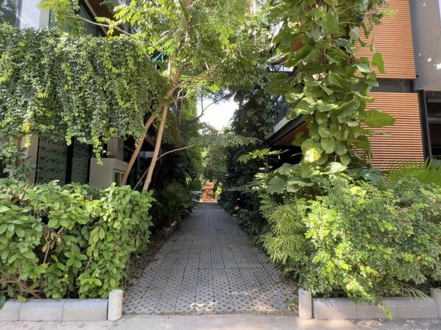 ประกาศฟรี! ซื้อ-ขาย-เช่า คอนโด บ้าน ทาวน์โฮม ที่ดิน และพื้นที่เชิงพาณิชย์ทั่วประเทศไทย ทุกทำเล ทุกงบประมาณ ไม่มีค่าใช้จ่าย ลงง่าย ขายไว เข้าถึงผู้ซื้อโดยตรง 3 505741pic2.jpg