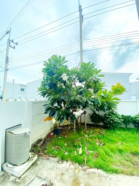 ประกาศฟรี! ซื้อ-ขาย-เช่า คอนโด บ้าน ทาวน์โฮม ที่ดิน และพื้นที่เชิงพาณิชย์ทั่วประเทศไทย ทุกทำเล ทุกงบประมาณ ไม่มีค่าใช้จ่าย ลงง่าย ขายไว เข้าถึงผู้ซื้อโดยตรง 5 237860pic4.jpg