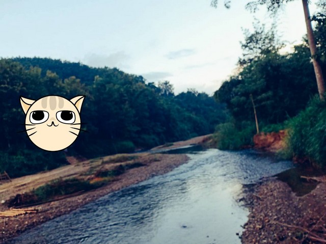 ประกาศฟรี! ซื้อ-ขาย-เช่า คอนโด บ้าน ทาวน์โฮม ที่ดิน และพื้นที่เชิงพาณิชย์ทั่วประเทศไทย ทุกทำเล ทุกงบประมาณ ไม่มีค่าใช้จ่าย ลงง่าย ขายไว เข้าถึงผู้ซื้อโดยตรง 2 7375pic1.jpg