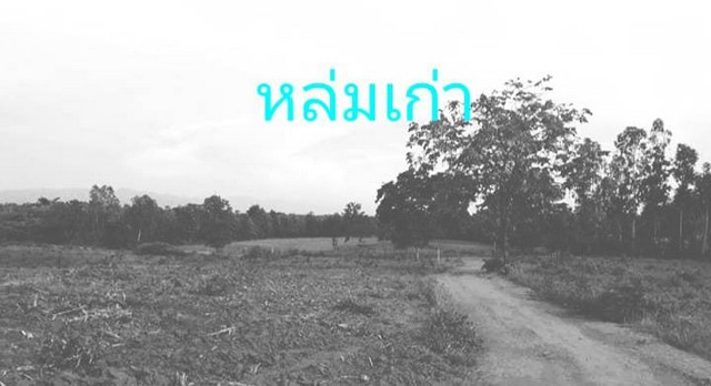 ประกาศฟรี! ซื้อ-ขาย-เช่า คอนโด บ้าน ทาวน์โฮม ที่ดิน และพื้นที่เชิงพาณิชย์ทั่วประเทศไทย ทุกทำเล ทุกงบประมาณ ไม่มีค่าใช้จ่าย ลงง่าย ขายไว เข้าถึงผู้ซื้อโดยตรง 2 7367pic1.jpg