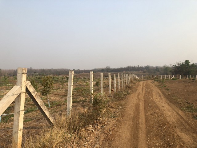 ประกาศฟรี! ซื้อ-ขาย-เช่า คอนโด บ้าน ทาวน์โฮม ที่ดิน และพื้นที่เชิงพาณิชย์ทั่วประเทศไทย ทุกทำเล ทุกงบประมาณ ไม่มีค่าใช้จ่าย ลงง่าย ขายไว เข้าถึงผู้ซื้อโดยตรง 4 7367pic3.jpg