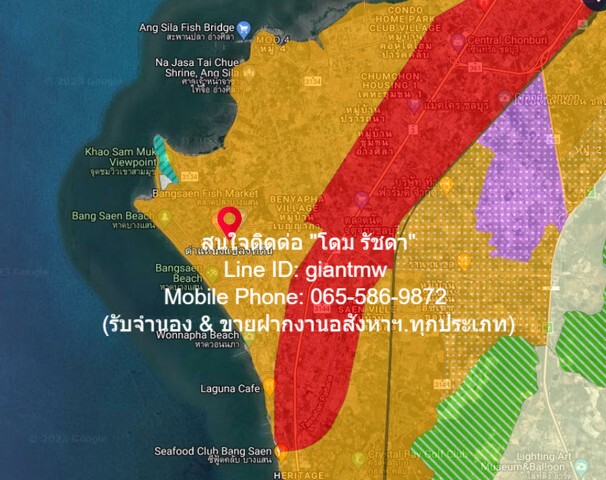 ประกาศฟรี! ซื้อ-ขาย-เช่า คอนโด บ้าน ทาวน์โฮม ที่ดิน และพื้นที่เชิงพาณิชย์ทั่วประเทศไทย ทุกทำเล ทุกงบประมาณ ไม่มีค่าใช้จ่าย ลงง่าย ขายไว เข้าถึงผู้ซื้อโดยตรง 2 16384pic1.jpg