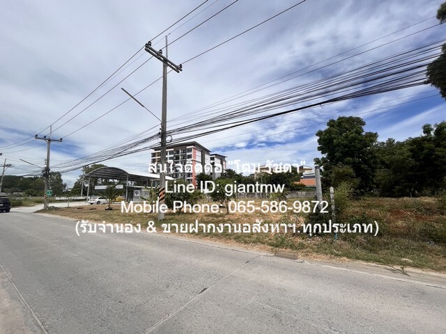 ประกาศฟรี! ซื้อ-ขาย-เช่า คอนโด บ้าน ทาวน์โฮม ที่ดิน และพื้นที่เชิงพาณิชย์ทั่วประเทศไทย ทุกทำเล ทุกงบประมาณ ไม่มีค่าใช้จ่าย ลงง่าย ขายไว เข้าถึงผู้ซื้อโดยตรง 5 16384pic4.jpg