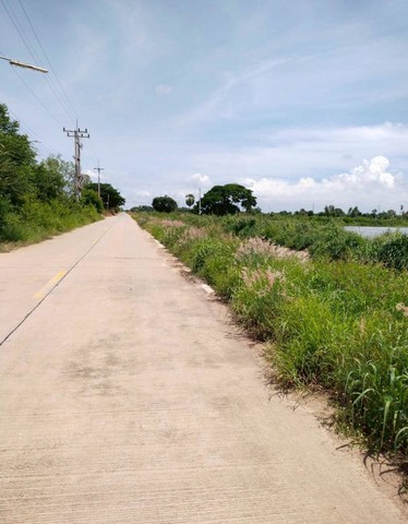 ประกาศฟรี! ซื้อ-ขาย-เช่า คอนโด บ้าน ทาวน์โฮม ที่ดิน และพื้นที่เชิงพาณิชย์ทั่วประเทศไทย ทุกทำเล ทุกงบประมาณ ไม่มีค่าใช้จ่าย ลงง่าย ขายไว เข้าถึงผู้ซื้อโดยตรง 5 208763pic4.jpg