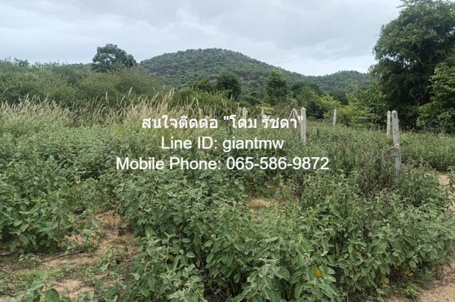 ประกาศฟรี! ซื้อ-ขาย-เช่า คอนโด บ้าน ทาวน์โฮม ที่ดิน และพื้นที่เชิงพาณิชย์ทั่วประเทศไทย ทุกทำเล ทุกงบประมาณ ไม่มีค่าใช้จ่าย ลงง่าย ขายไว เข้าถึงผู้ซื้อโดยตรง 5 16383pic4.jpg