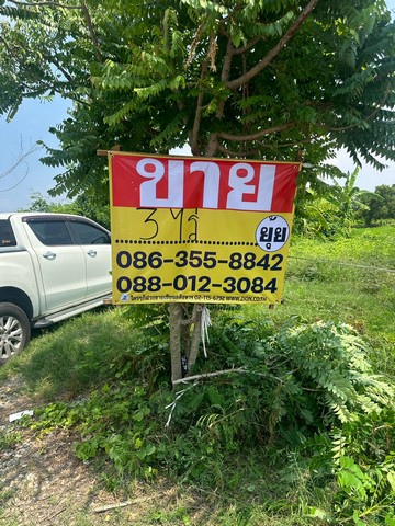 ประกาศฟรี! ซื้อ-ขาย-เช่า คอนโด บ้าน ทาวน์โฮม ที่ดิน และพื้นที่เชิงพาณิชย์ทั่วประเทศไทย ทุกทำเล ทุกงบประมาณ ไม่มีค่าใช้จ่าย ลงง่าย ขายไว เข้าถึงผู้ซื้อโดยตรง 3 506152pic2.jpg