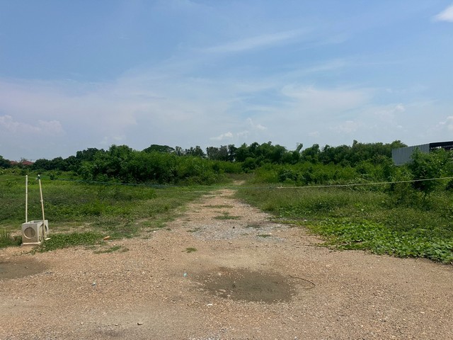 ประกาศฟรี! ซื้อ-ขาย-เช่า คอนโด บ้าน ทาวน์โฮม ที่ดิน และพื้นที่เชิงพาณิชย์ทั่วประเทศไทย ทุกทำเล ทุกงบประมาณ ไม่มีค่าใช้จ่าย ลงง่าย ขายไว เข้าถึงผู้ซื้อโดยตรง 4 506152pic3.jpg