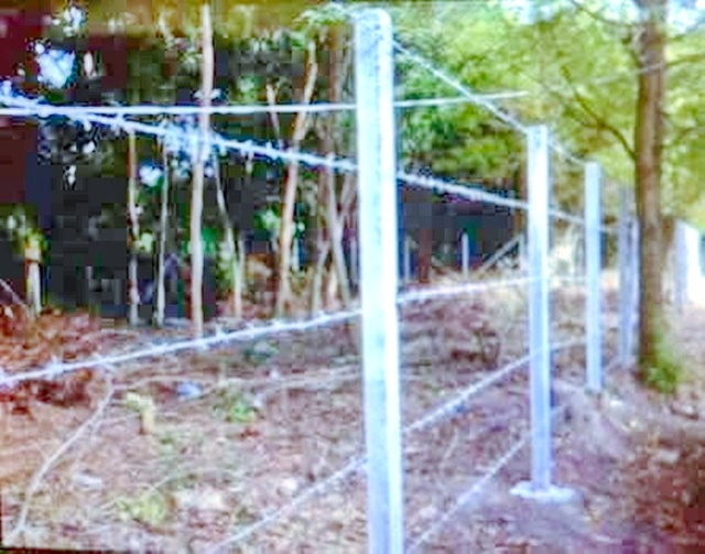 ประกาศฟรี! ซื้อ-ขาย-เช่า คอนโด บ้าน ทาวน์โฮม ที่ดิน และพื้นที่เชิงพาณิชย์ทั่วประเทศไทย ทุกทำเล ทุกงบประมาณ ไม่มีค่าใช้จ่าย ลงง่าย ขายไว เข้าถึงผู้ซื้อโดยตรง 2 238142pic1.jpg