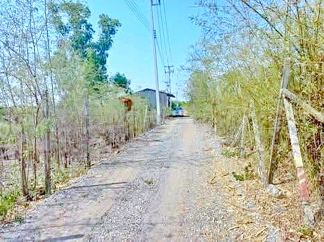 ประกาศฟรี! ซื้อ-ขาย-เช่า คอนโด บ้าน ทาวน์โฮม ที่ดิน และพื้นที่เชิงพาณิชย์ทั่วประเทศไทย ทุกทำเล ทุกงบประมาณ ไม่มีค่าใช้จ่าย ลงง่าย ขายไว เข้าถึงผู้ซื้อโดยตรง 4 238142pic3.jpg