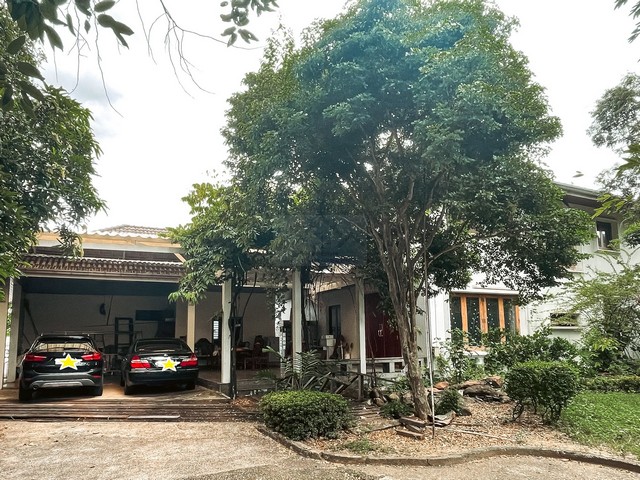 ประกาศฟรี! ซื้อ-ขาย-เช่า คอนโด บ้าน ทาวน์โฮม ที่ดิน และพื้นที่เชิงพาณิชย์ทั่วประเทศไทย ทุกทำเล ทุกงบประมาณ ไม่มีค่าใช้จ่าย ลงง่าย ขายไว เข้าถึงผู้ซื้อโดยตรง 2 505996pic1.jpg