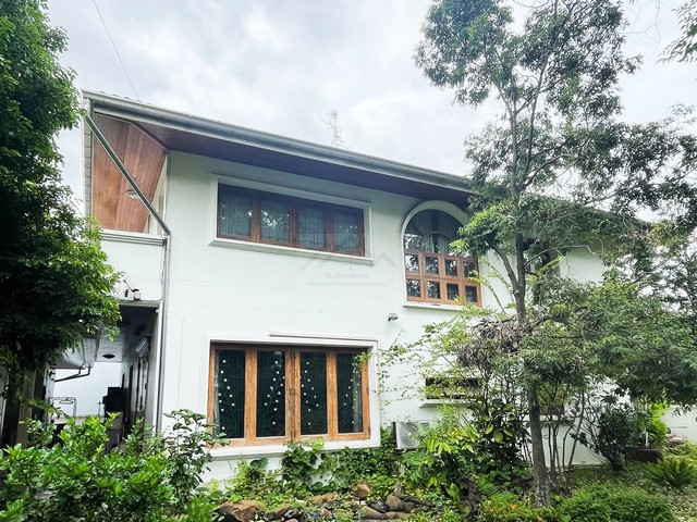 ประกาศฟรี! ซื้อ-ขาย-เช่า คอนโด บ้าน ทาวน์โฮม ที่ดิน และพื้นที่เชิงพาณิชย์ทั่วประเทศไทย ทุกทำเล ทุกงบประมาณ ไม่มีค่าใช้จ่าย ลงง่าย ขายไว เข้าถึงผู้ซื้อโดยตรง 3 505996pic2.jpg