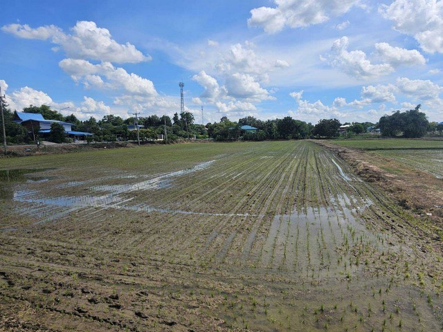 ประกาศฟรี! ซื้อ-ขาย-เช่า คอนโด บ้าน ทาวน์โฮม ที่ดิน และพื้นที่เชิงพาณิชย์ทั่วประเทศไทย ทุกทำเล ทุกงบประมาณ ไม่มีค่าใช้จ่าย ลงง่าย ขายไว เข้าถึงผู้ซื้อโดยตรง 5 309283pic4.jpg