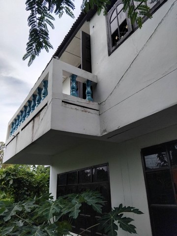 ประกาศฟรี! ซื้อ-ขาย-เช่า คอนโด บ้าน ทาวน์โฮม ที่ดิน และพื้นที่เชิงพาณิชย์ทั่วประเทศไทย ทุกทำเล ทุกงบประมาณ ไม่มีค่าใช้จ่าย ลงง่าย ขายไว เข้าถึงผู้ซื้อโดยตรง 2 7384pic1.jpg