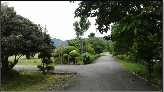 ประกาศฟรี! ซื้อ-ขาย-เช่า คอนโด บ้าน ทาวน์โฮม ที่ดิน และพื้นที่เชิงพาณิชย์ทั่วประเทศไทย ทุกทำเล ทุกงบประมาณ ไม่มีค่าใช้จ่าย ลงง่าย ขายไว เข้าถึงผู้ซื้อโดยตรง 2 221724pic1.jpg