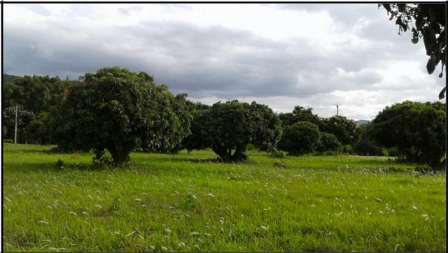 ประกาศฟรี! ซื้อ-ขาย-เช่า คอนโด บ้าน ทาวน์โฮม ที่ดิน และพื้นที่เชิงพาณิชย์ทั่วประเทศไทย ทุกทำเล ทุกงบประมาณ ไม่มีค่าใช้จ่าย ลงง่าย ขายไว เข้าถึงผู้ซื้อโดยตรง 4 221724pic3.jpg