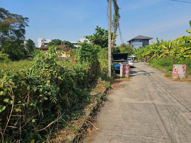 ประกาศฟรี! ซื้อ-ขาย-เช่า คอนโด บ้าน ทาวน์โฮม ที่ดิน และพื้นที่เชิงพาณิชย์ทั่วประเทศไทย ทุกทำเล ทุกงบประมาณ ไม่มีค่าใช้จ่าย ลงง่าย ขายไว เข้าถึงผู้ซื้อโดยตรง 5 309391pic4.jpg