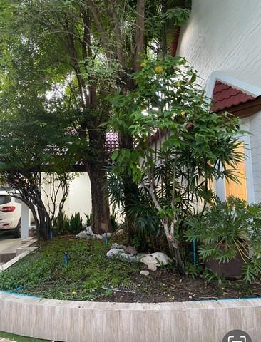 ประกาศฟรี! ซื้อ-ขาย-เช่า คอนโด บ้าน ทาวน์โฮม ที่ดิน และพื้นที่เชิงพาณิชย์ทั่วประเทศไทย ทุกทำเล ทุกงบประมาณ ไม่มีค่าใช้จ่าย ลงง่าย ขายไว เข้าถึงผู้ซื้อโดยตรง 3 506036pic2.jpg