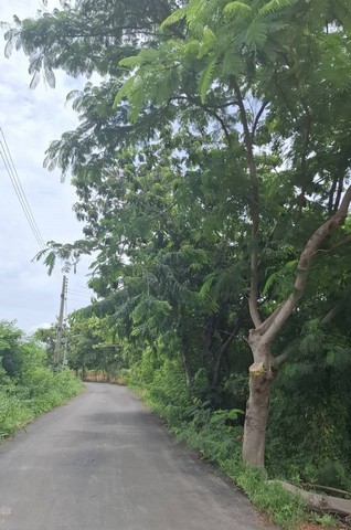 ประกาศฟรี! ซื้อ-ขาย-เช่า คอนโด บ้าน ทาวน์โฮม ที่ดิน และพื้นที่เชิงพาณิชย์ทั่วประเทศไทย ทุกทำเล ทุกงบประมาณ ไม่มีค่าใช้จ่าย ลงง่าย ขายไว เข้าถึงผู้ซื้อโดยตรง 4 225088pic3.jpg