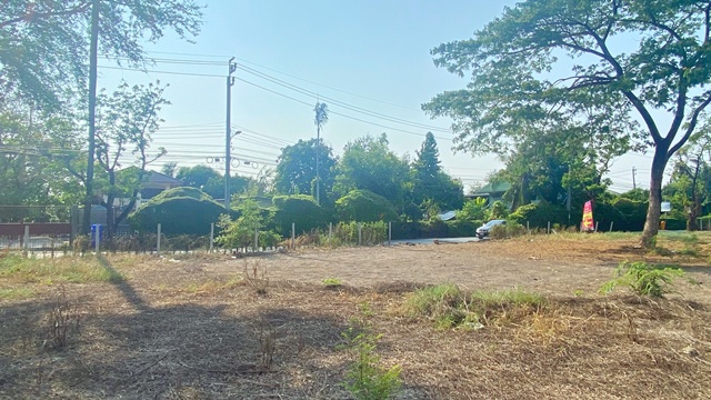 ประกาศฟรี! ซื้อ-ขาย-เช่า คอนโด บ้าน ทาวน์โฮม ที่ดิน และพื้นที่เชิงพาณิชย์ทั่วประเทศไทย ทุกทำเล ทุกงบประมาณ ไม่มีค่าใช้จ่าย ลงง่าย ขายไว เข้าถึงผู้ซื้อโดยตรง 3 309315pic2.jpg