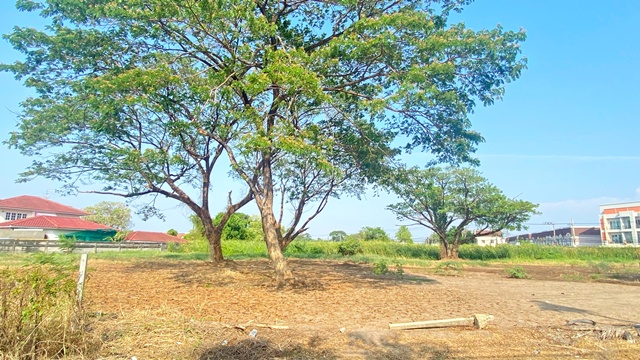 ประกาศฟรี! ซื้อ-ขาย-เช่า คอนโด บ้าน ทาวน์โฮม ที่ดิน และพื้นที่เชิงพาณิชย์ทั่วประเทศไทย ทุกทำเล ทุกงบประมาณ ไม่มีค่าใช้จ่าย ลงง่าย ขายไว เข้าถึงผู้ซื้อโดยตรง 4 309315pic3.jpg