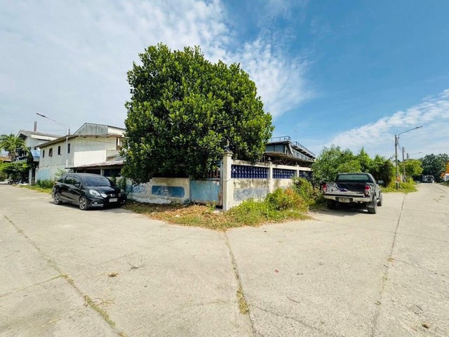 ประกาศฟรี! ซื้อ-ขาย-เช่า คอนโด บ้าน ทาวน์โฮม ที่ดิน และพื้นที่เชิงพาณิชย์ทั่วประเทศไทย ทุกทำเล ทุกงบประมาณ ไม่มีค่าใช้จ่าย ลงง่าย ขายไว เข้าถึงผู้ซื้อโดยตรง 3 309416pic2.jpg