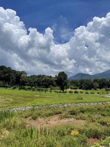 ประกาศฟรี! ซื้อ-ขาย-เช่า คอนโด บ้าน ทาวน์โฮม ที่ดิน และพื้นที่เชิงพาณิชย์ทั่วประเทศไทย ทุกทำเล ทุกงบประมาณ ไม่มีค่าใช้จ่าย ลงง่าย ขายไว เข้าถึงผู้ซื้อโดยตรง 4 164563pic3.jpg