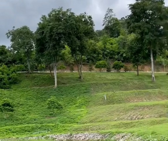 ประกาศฟรี! ซื้อ-ขาย-เช่า คอนโด บ้าน ทาวน์โฮม ที่ดิน และพื้นที่เชิงพาณิชย์ทั่วประเทศไทย ทุกทำเล ทุกงบประมาณ ไม่มีค่าใช้จ่าย ลงง่าย ขายไว เข้าถึงผู้ซื้อโดยตรง 5 164563pic4.jpg