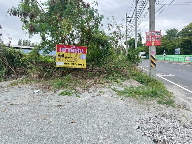 ประกาศฟรี! ซื้อ-ขาย-เช่า คอนโด บ้าน ทาวน์โฮม ที่ดิน และพื้นที่เชิงพาณิชย์ทั่วประเทศไทย ทุกทำเล ทุกงบประมาณ ไม่มีค่าใช้จ่าย ลงง่าย ขายไว เข้าถึงผู้ซื้อโดยตรง 2 506313pic1.jpg