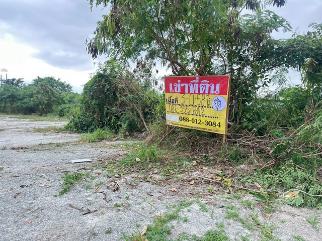 ประกาศฟรี! ซื้อ-ขาย-เช่า คอนโด บ้าน ทาวน์โฮม ที่ดิน และพื้นที่เชิงพาณิชย์ทั่วประเทศไทย ทุกทำเล ทุกงบประมาณ ไม่มีค่าใช้จ่าย ลงง่าย ขายไว เข้าถึงผู้ซื้อโดยตรง 3 506313pic2.jpg