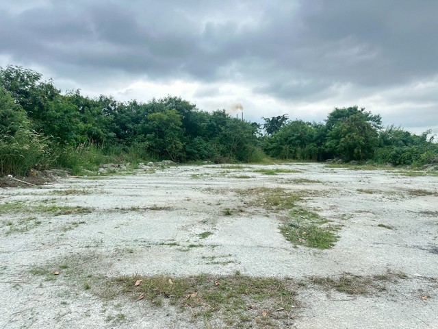 ประกาศฟรี! ซื้อ-ขาย-เช่า คอนโด บ้าน ทาวน์โฮม ที่ดิน และพื้นที่เชิงพาณิชย์ทั่วประเทศไทย ทุกทำเล ทุกงบประมาณ ไม่มีค่าใช้จ่าย ลงง่าย ขายไว เข้าถึงผู้ซื้อโดยตรง 5 506313pic4.jpg