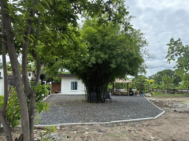 ประกาศฟรี! ซื้อ-ขาย-เช่า คอนโด บ้าน ทาวน์โฮม ที่ดิน และพื้นที่เชิงพาณิชย์ทั่วประเทศไทย ทุกทำเล ทุกงบประมาณ ไม่มีค่าใช้จ่าย ลงง่าย ขายไว เข้าถึงผู้ซื้อโดยตรง 5 505295pic4.jpg