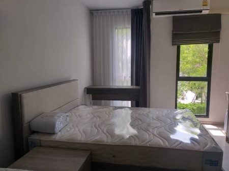 ประกาศฟรี! ซื้อ-ขาย-เช่า คอนโด บ้าน ทาวน์โฮม ที่ดิน และพื้นที่เชิงพาณิชย์ทั่วประเทศไทย ทุกทำเล ทุกงบประมาณ ไม่มีค่าใช้จ่าย ลงง่าย ขายไว เข้าถึงผู้ซื้อโดยตรง 2 506426pic1.jpg